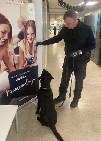 Narkotikahunden Frey på ett gymnasium i Stockholm