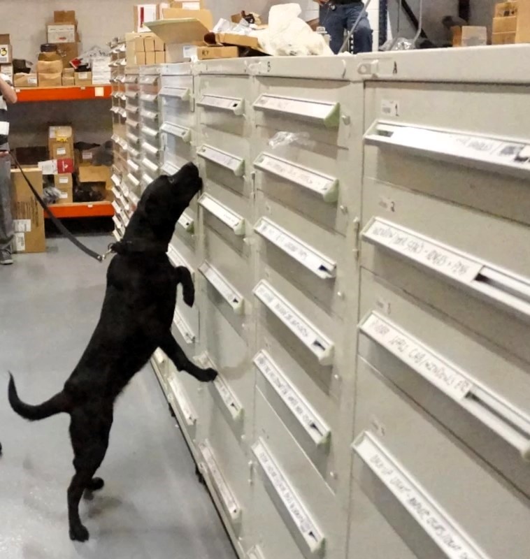 Vår narkotikahund Frey söker av en industrilokal